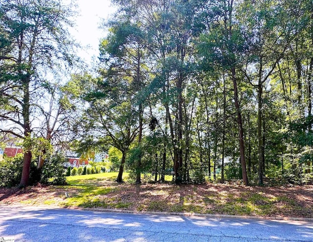 219 Huntcliff Dr, Taylors SC, 29687 land for sale