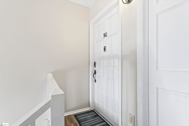 entryway featuring wood-type flooring