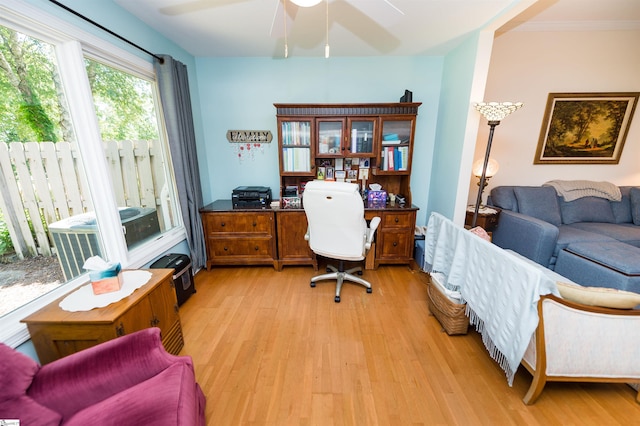 office space featuring light wood-type flooring and ceiling fan