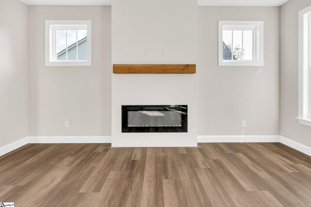 interior details with hardwood / wood-style floors