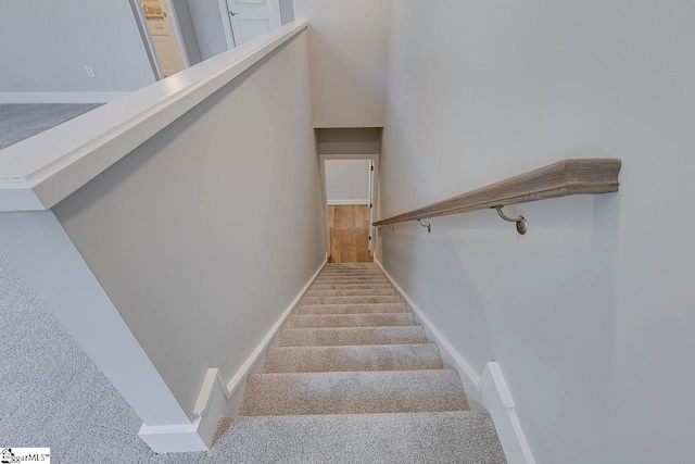 staircase featuring carpet