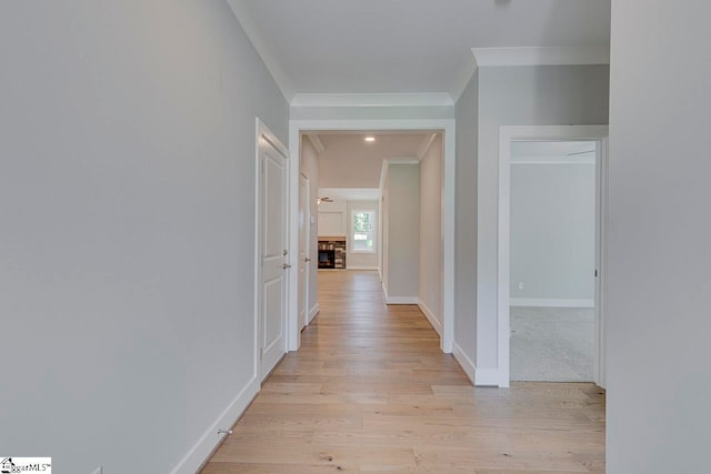 corridor featuring light hardwood / wood-style flooring and crown molding