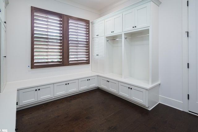 mudroom with dark hardwood / wood-style floors