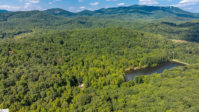 birds eye view of property featuring a water and mountain view