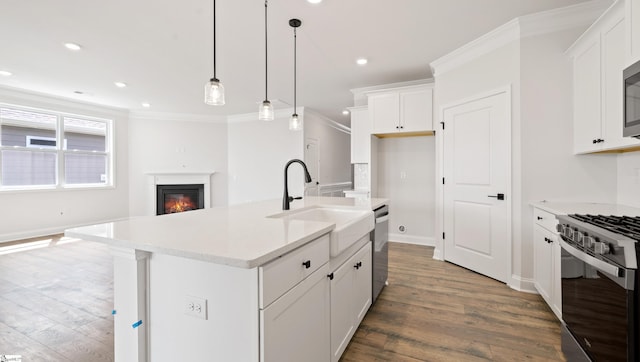 kitchen featuring appliances with stainless steel finishes, a sink, wood finished floors, a glass covered fireplace, and ornamental molding
