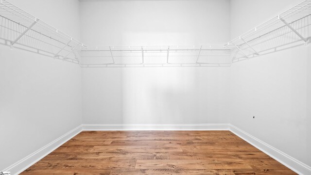 spacious closet featuring wood finished floors