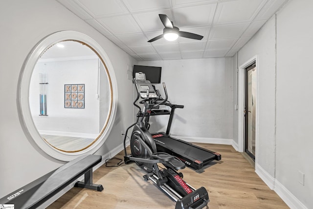 exercise area with light hardwood / wood-style flooring and ceiling fan