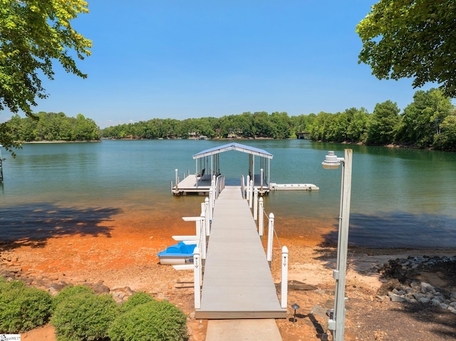 dock area with a water view