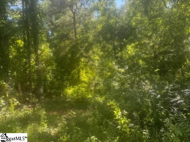 00 Three And Twenty Rd, Easley, SC 29642