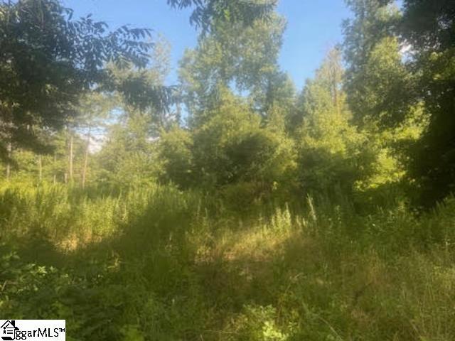 00 Three And Twenty Rd, Easley, SC 29642