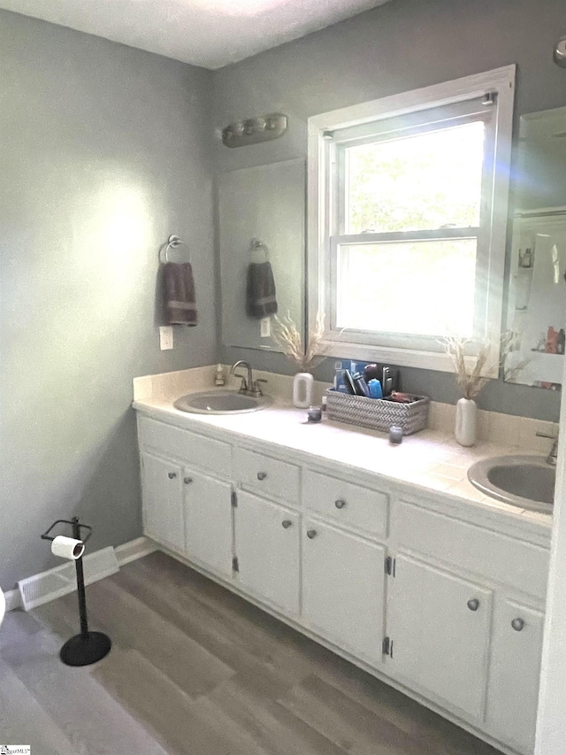 bathroom with vanity and wood-type flooring