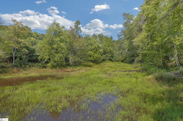 view of nature with a water view