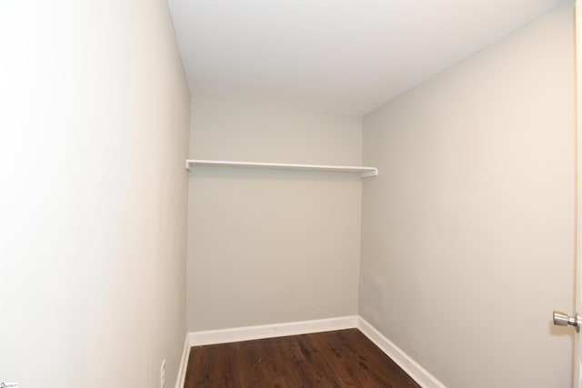 spacious closet with dark hardwood / wood-style flooring