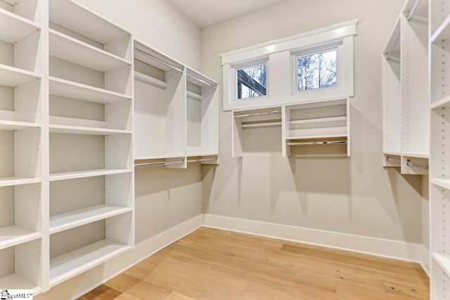 spacious closet featuring light wood-type flooring