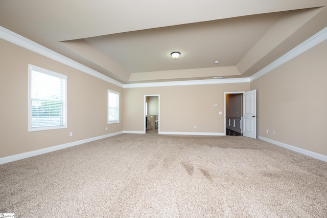 unfurnished room with crown molding, a raised ceiling, and carpet flooring