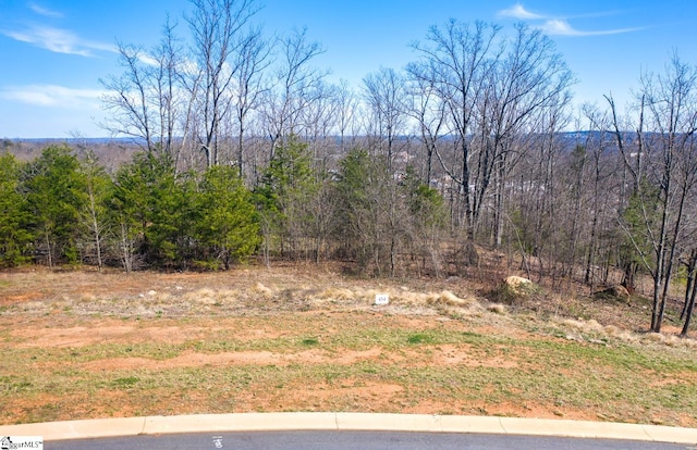 7 Rovello Ct Lot 454, Greenville SC, 29609 land for sale