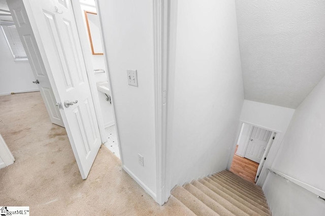 121 Sherman Ct, Piedmont, SC 29673 - staircase featuring carpet floors