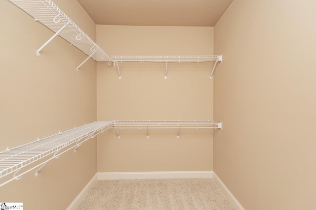 walk in closet featuring carpet