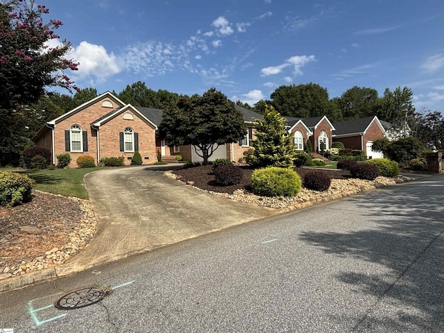 ranch-style home featuring driveway and brick siding