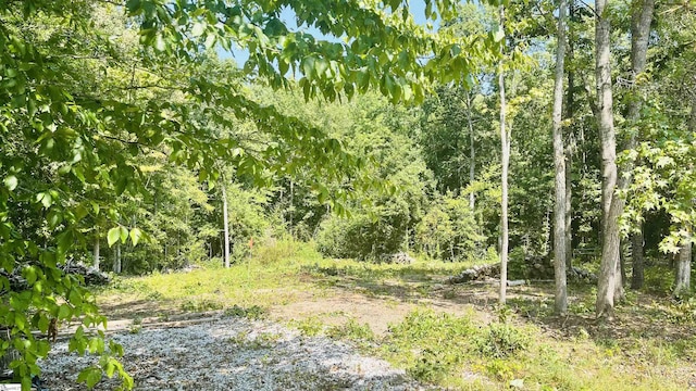 106 Thorn Ridge Ln, Pelzer, SC 29669