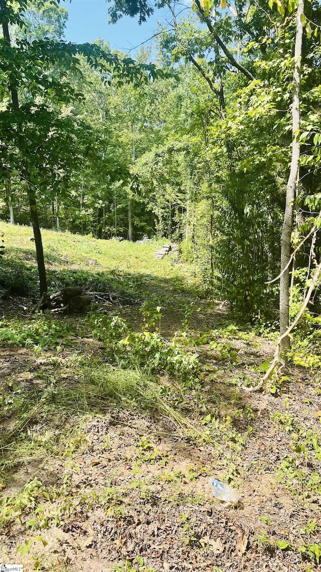 106 Thorn Ridge Ln, Pelzer, SC 29669