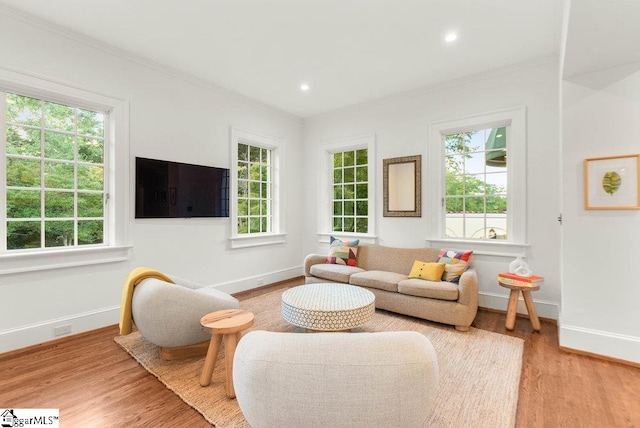 living room with light wood-type flooring and ornamental molding