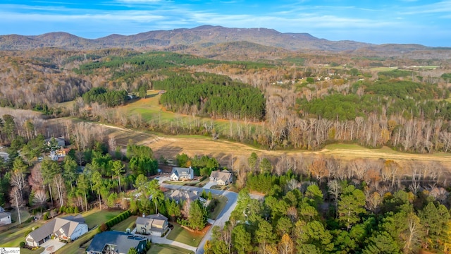 bird's eye view featuring a mountain view