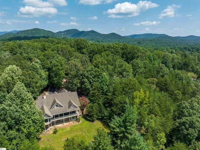 birds eye view of property featuring a mountain view