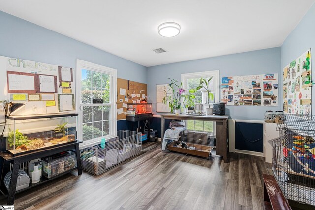 misc room featuring a healthy amount of sunlight and hardwood / wood-style floors