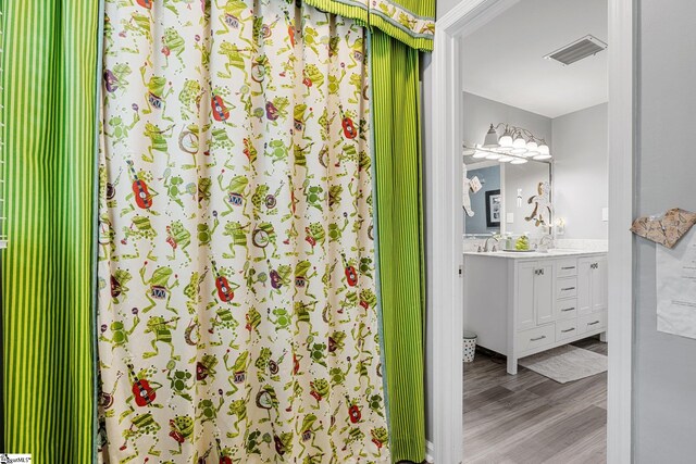 bathroom with vanity and hardwood / wood-style floors