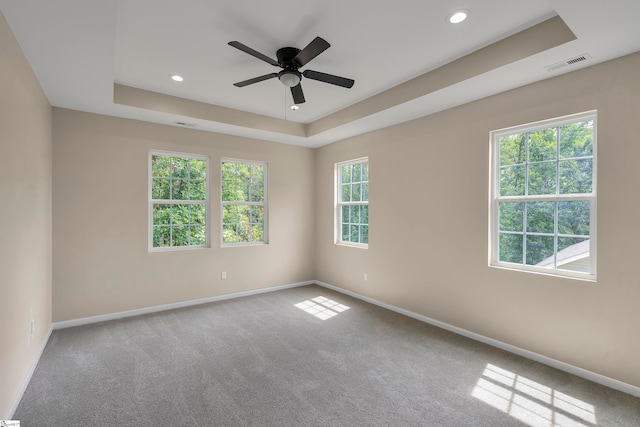 carpeted empty room featuring a healthy amount of sunlight, ceiling fan, and a raised ceiling