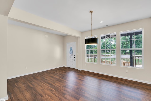 interior space featuring dark wood-type flooring and a healthy amount of sunlight