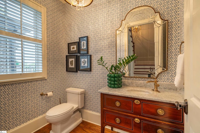 bathroom with vanity, toilet, and wood-type flooring