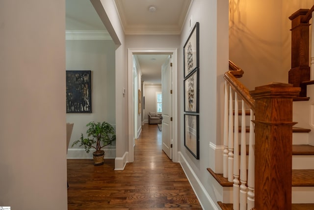 hallway with crown molding and dark wood-type flooring