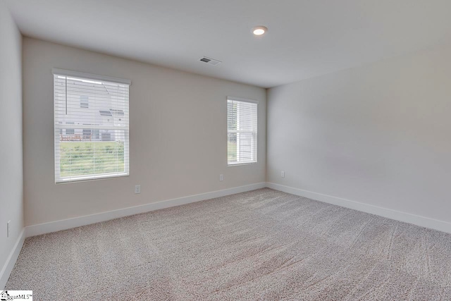 unfurnished room featuring carpet flooring and plenty of natural light