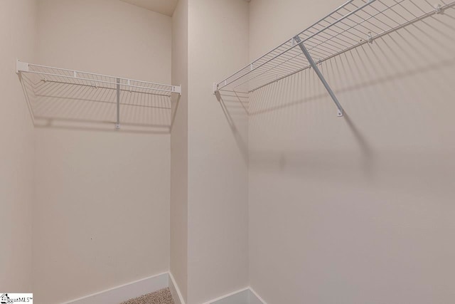 view of walk in closet