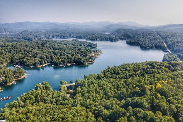 248 Bay View Dr, Salem, SC 29676 - birds eye view of property with a water and mountain view and a wooded view
