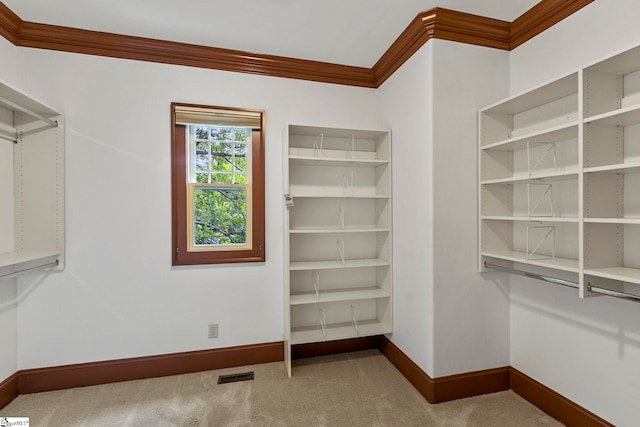 walk in closet with carpet floors