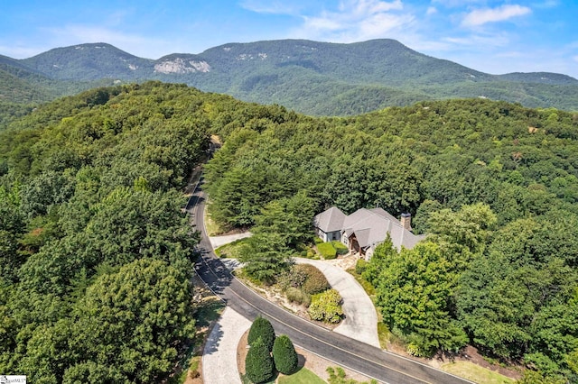 birds eye view of property featuring a mountain view