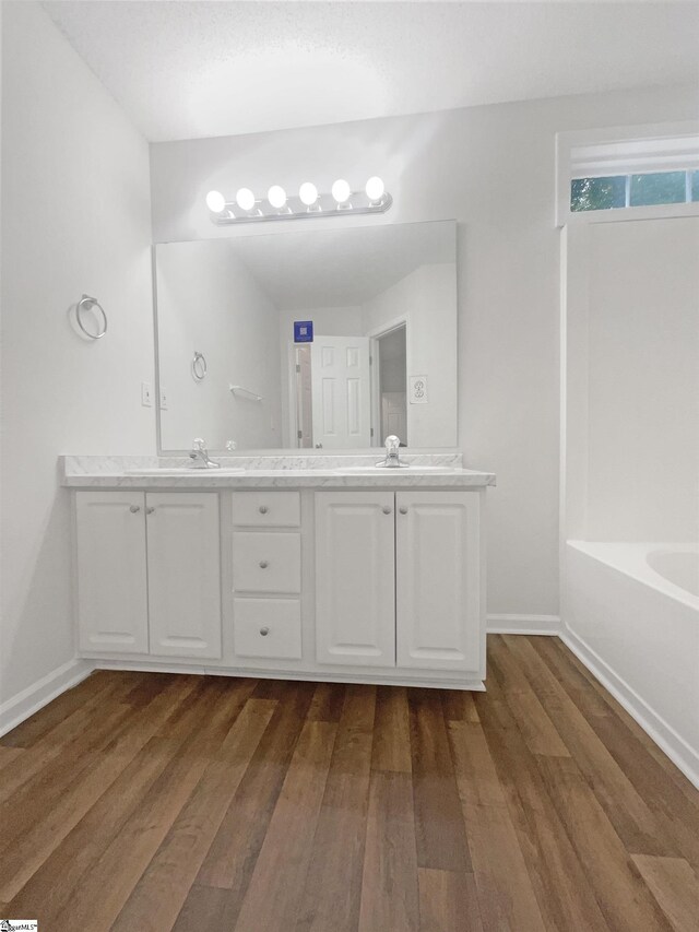 bathroom with vanity and wood-type flooring