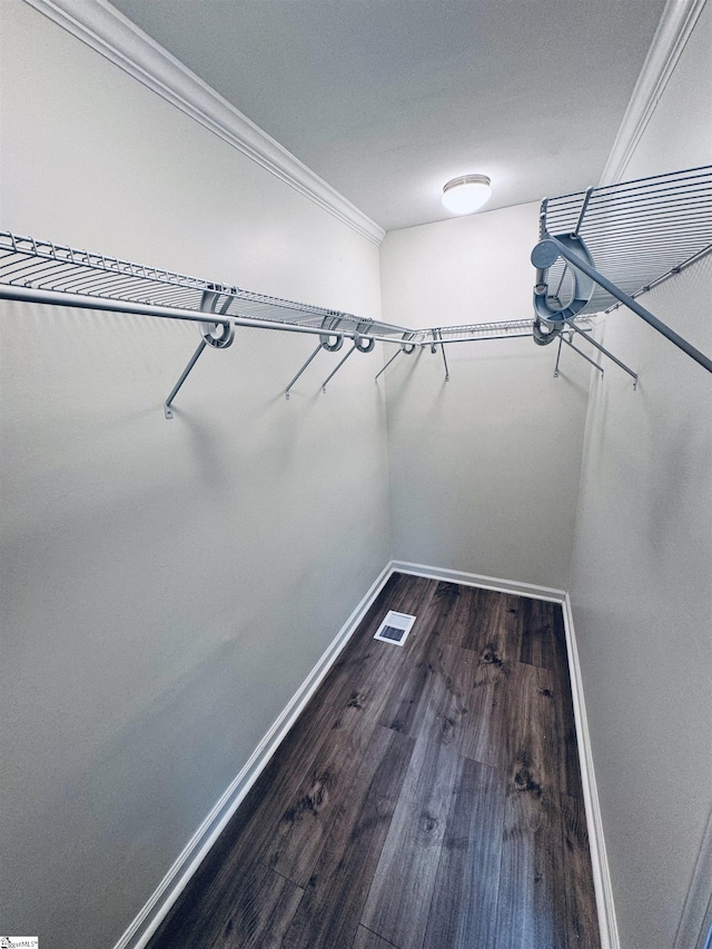 walk in closet featuring hardwood / wood-style flooring