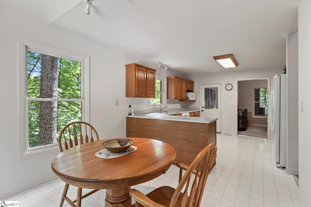 dining area with a textured ceiling and a healthy amount of sunlight