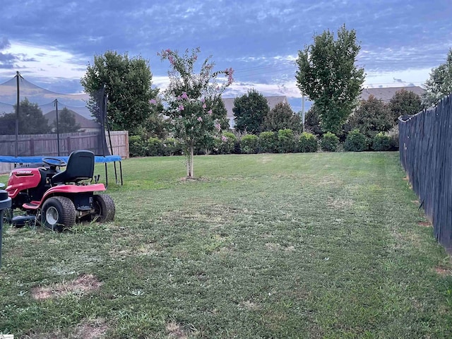 view of yard with a mountain view and a trampoline