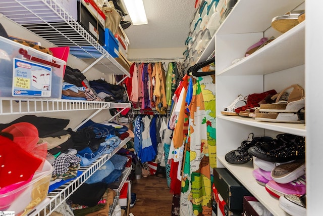 spacious closet with dark hardwood / wood-style floors