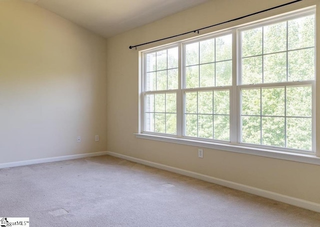 unfurnished room featuring a wealth of natural light and carpet