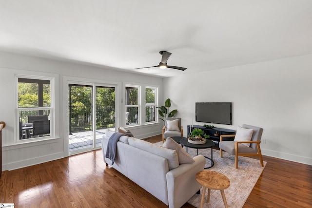 living room featuring ceiling fan and dark hardwood / wood-style floors