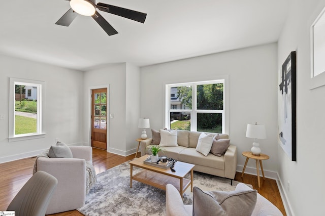 living room with ceiling fan and hardwood / wood-style flooring