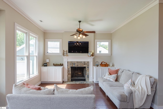 living room with dark wood-type flooring, crown molding, a fireplace, and a wealth of natural light