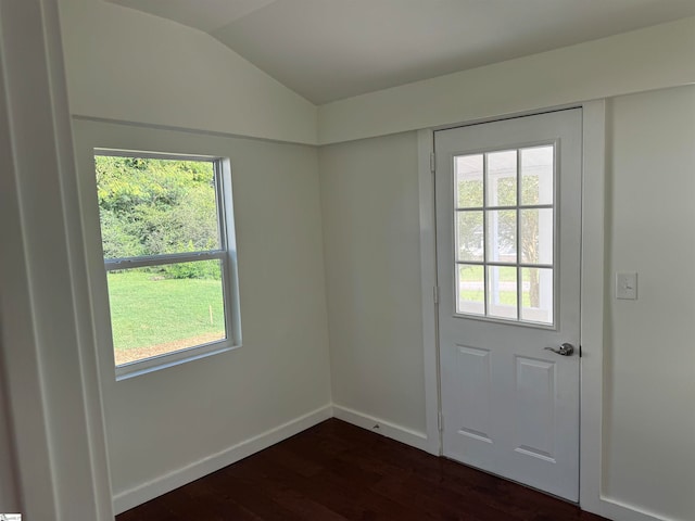 doorway to outside featuring dark hardwood / wood-style flooring, a wealth of natural light, and lofted ceiling