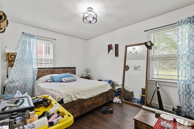 bedroom featuring dark hardwood / wood-style flooring and multiple windows